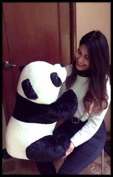 Peluche Oso Panda Grande