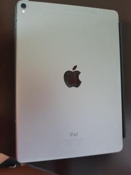 iPad Modelo A1674 / 32g / Como Nueva