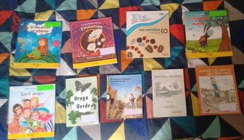 Libros escolares primer segundo 1er 2do grado