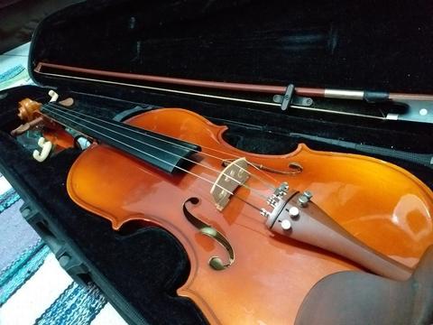 Violin 44 Starsun