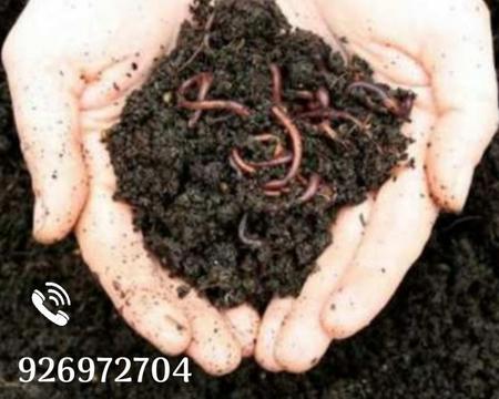 Venta de Humus Y Compost Orgánico