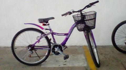 Bicicleta montañera de dama/mujer Marca moreno 26