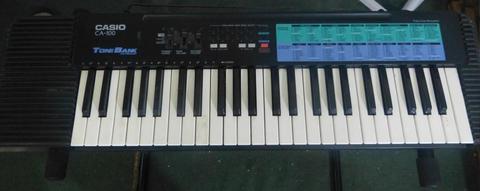 Organo Electronico Casio Ca100