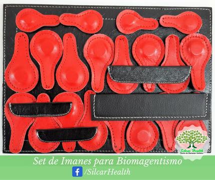 Set De Imanes De Neodimio Biomagnetismo Y Magnetoterapia