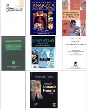 Pack 7 Libros Anat Humana Estomatologia