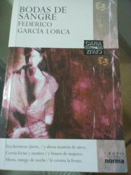 BODAS DE SANGRE de FEDERICO GARCIA LORCA