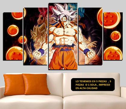 Cuadros Decorativos Goku