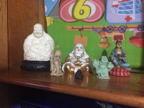 Coleccion de Buditas