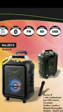 Halion Ha2015 200 Watts Maleta Usb Bt