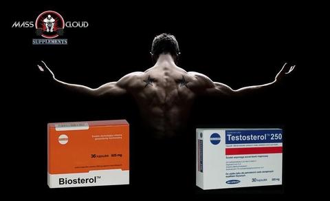 Pack Testosterol Biosterol Precursor Testosterona
