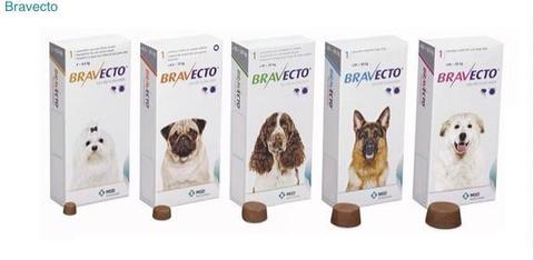 Oferta bravecto antipulgas