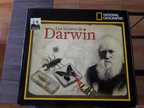 Insectos Los Tesoros de Darwin