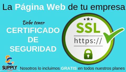 LLEVE GRATIS: SSL (https sitio seguro), Hosting y Dominio con el Diseño de su Página Web Profesional
