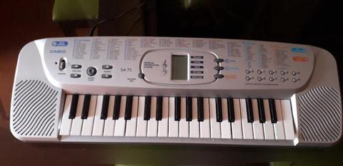 Remato Piano Organo Casio 100 Tones