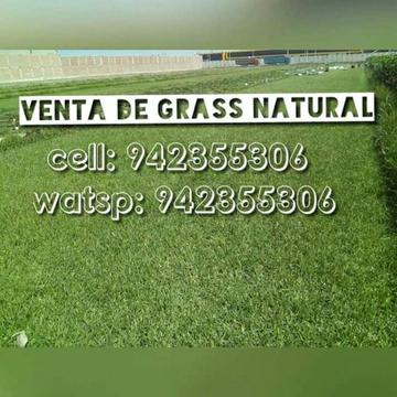 Venta de Grass Natural