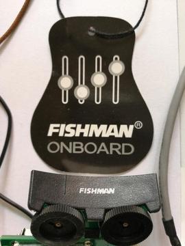 Sistema Fishman para Guitarra Sólida