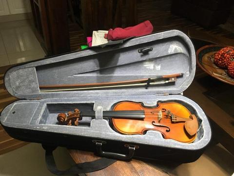 Violin StarSun Para Nios