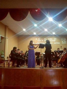 clases de violín a domicilio
