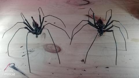 Un par de arañas hechas de alambre