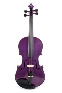 violin americano purpura lila morado