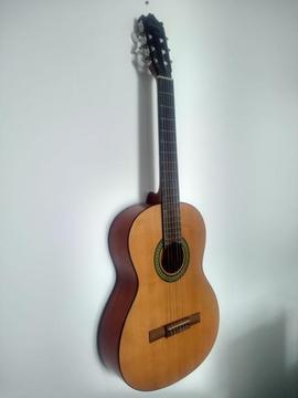 Vendo Guitarra Acústica Marca Ibanez