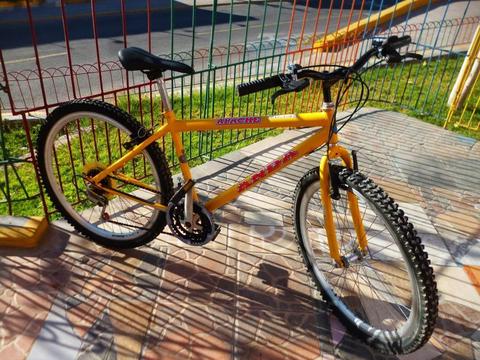 Bicicleta Montañera ANDA ORIGINAL Aro 26 aluminio tubulares 18 VELOCIDADES excelente estado