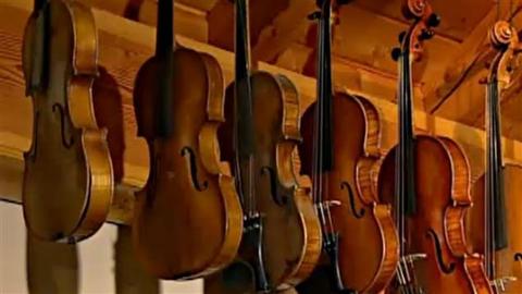 Venta de Violin Copia Stradivarius Alema