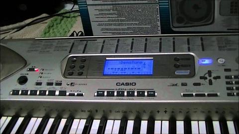 Organo Casio Ctk900 Profesional