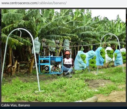 Teleférico para cosecha de plátanos