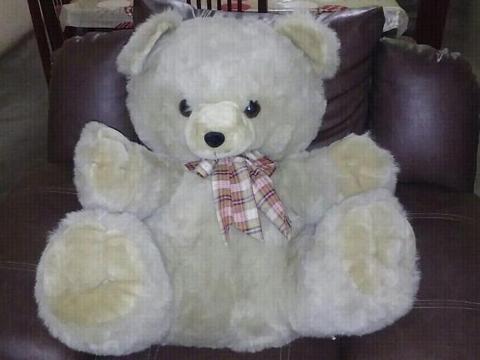 Teddy bear