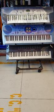 Organos Casio Yamaha