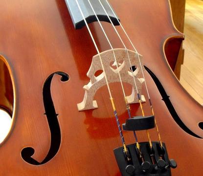 cuerdas individuales para principiantes violonchelo