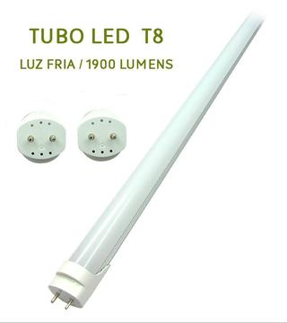 Luz Tubo Led Remate