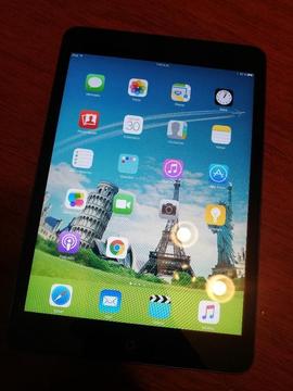 iPad Mini A1432 16gb Muy Conservado