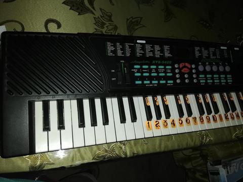 Organo Electronic