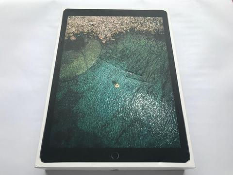 iPad Pro 12.9'' 2da Gen