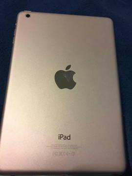 iPad Mini 7.9 Pulgadas 16 Gb