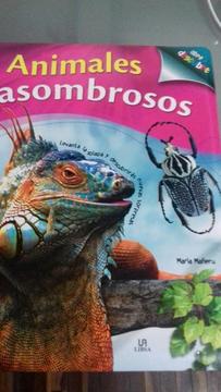 Libro Animales Asombrosos