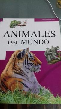 Libro Animales Del Mundo