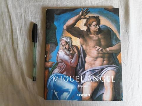 Libro Miguel Angel Renacimiento